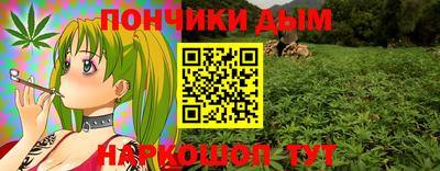 индика Будённовск
