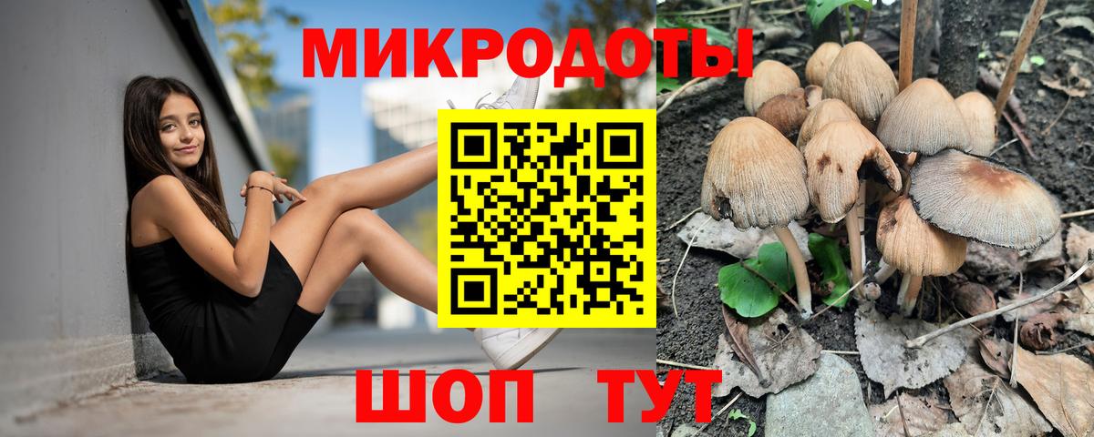Псилоцибиновые грибы мухоморы Людиново