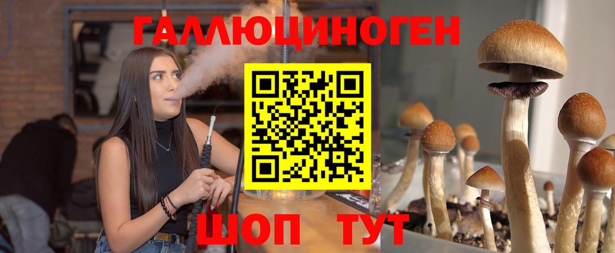 Галлюциногенные грибы прущие грибы  Вход с VPN  наркошоп  Людиново 